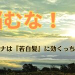 ヘナは『若白髪』に効くっちゃが！若者よ！もう悩まんでね！