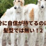 自分に自信が持てるのは、髪型では無い！2