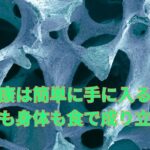 健康は簡単に手に入る　髪も身体も食で成り立つ