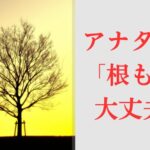 あなたの髪”根っこ”が腐っていたなら。。どうする？