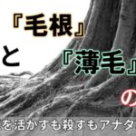 アナタの毛根の強さは決まっているけど「　　」をやったら薄毛になります