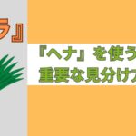 『ヘナ』を買うときの、重要な見分け方とは