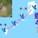 私こそ！美容室ジプシーと思っている。そんなあなたの最後の砦