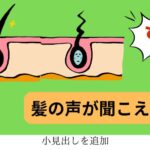 髪の声が聞こえる季節