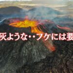 火山灰ような・・フケには要注意