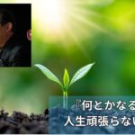 『何とかなる。。』人生頑張らない”底力”
