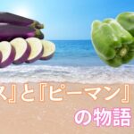 『髪を触っちゃいけない時期』と『夏バテ対策のヘアメニュー』