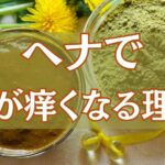ヘナで頭が痒くなる理由