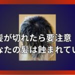 髪が切れたら要注意　あなたの髪は蝕まれている