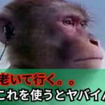 耳から老いて行く。。その気をつける場所とは。。