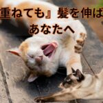 『歳を重ねても』髪を伸ばしたいあなたへ