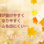 秋は髪が抜けやすく、薄くなりやすく、ボリュームも出にくい。その対策とは