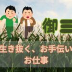 老後も自信を持って、輝き、生き抜く、お手伝いをするお仕事「美髪ケア」