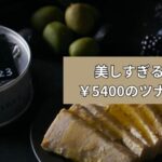 美しすぎる髪と￥5400のツナ缶の話