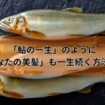 「鮎の一生」のように「あなたの美髪」も一生続く方法とは