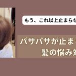 パサパサが止まらない。。。髪の悩み