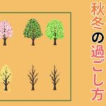 髪のための秋冬の過ごし方