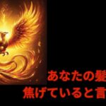 あなたの髪は焦げていると言う現実