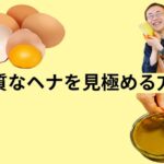 良質なヘナを見極める方法